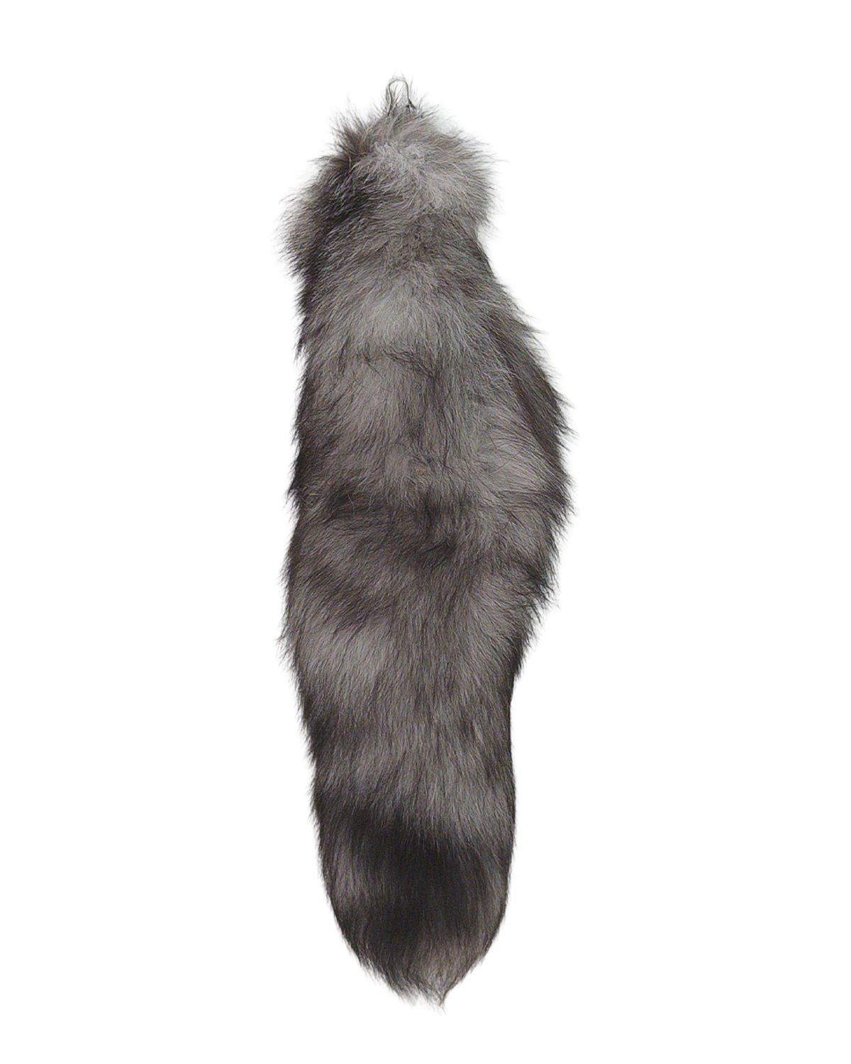 FOX TAIL