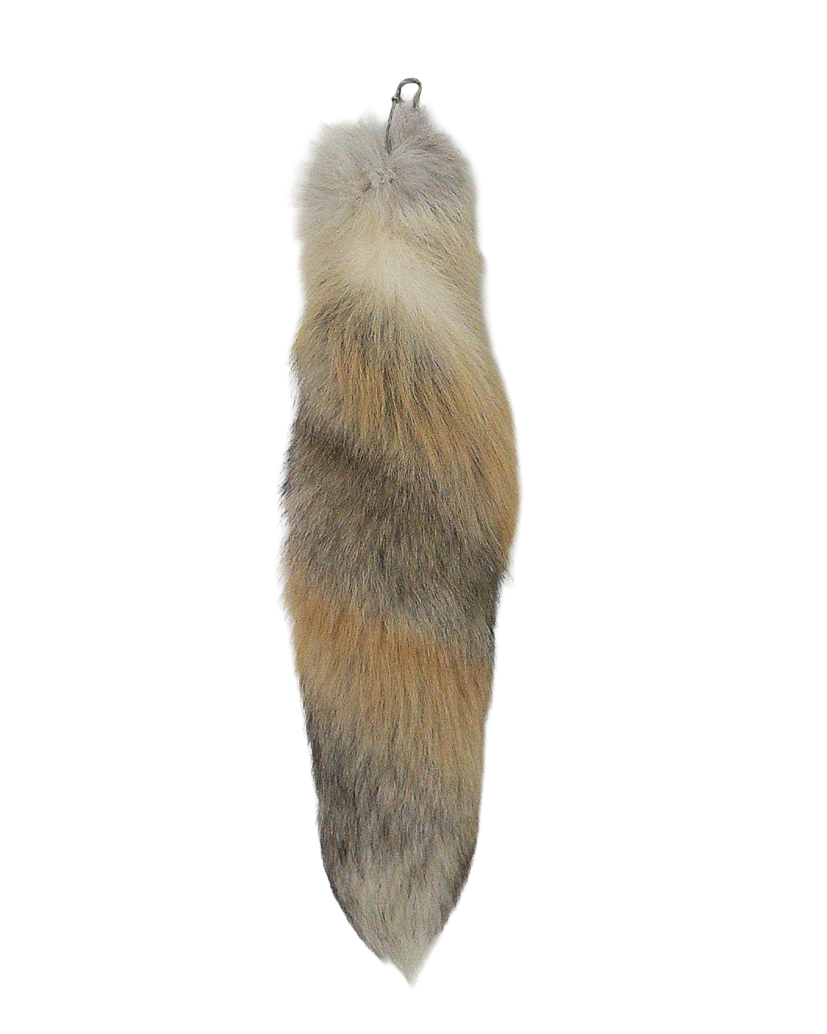FOX TAIL