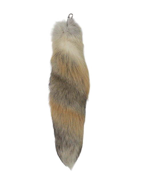 FOX TAIL
